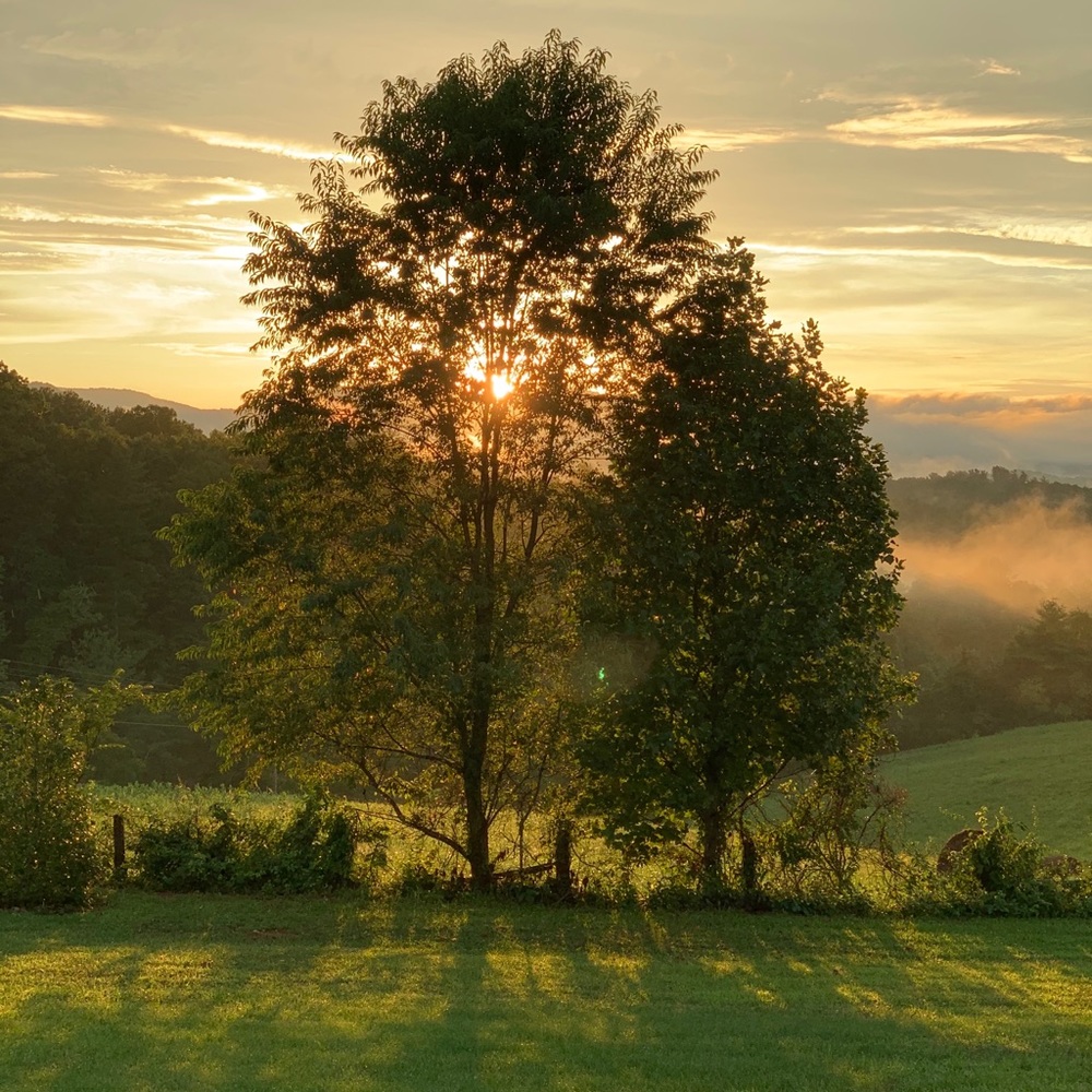 Meet your Posher, Hanna b